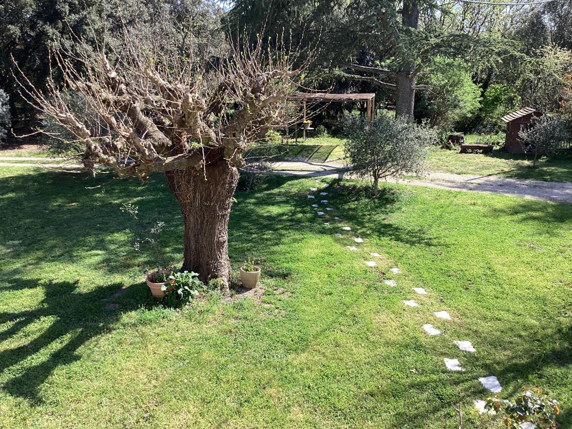 Au Mas Des Chenes Ferienhaus La Baume-de-Transit